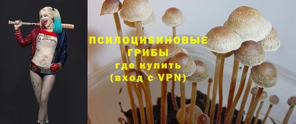 mdma Няндома