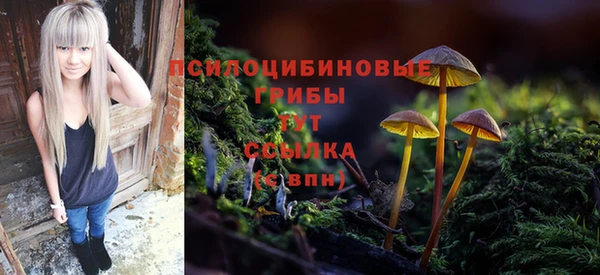 mdma Няндома