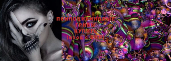крисы Нягань