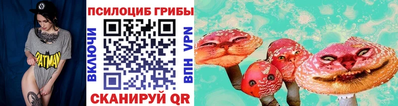 Псилоцибиновые грибы MAGIC MUSHROOMS  сайты даркнета состав  Рославль 